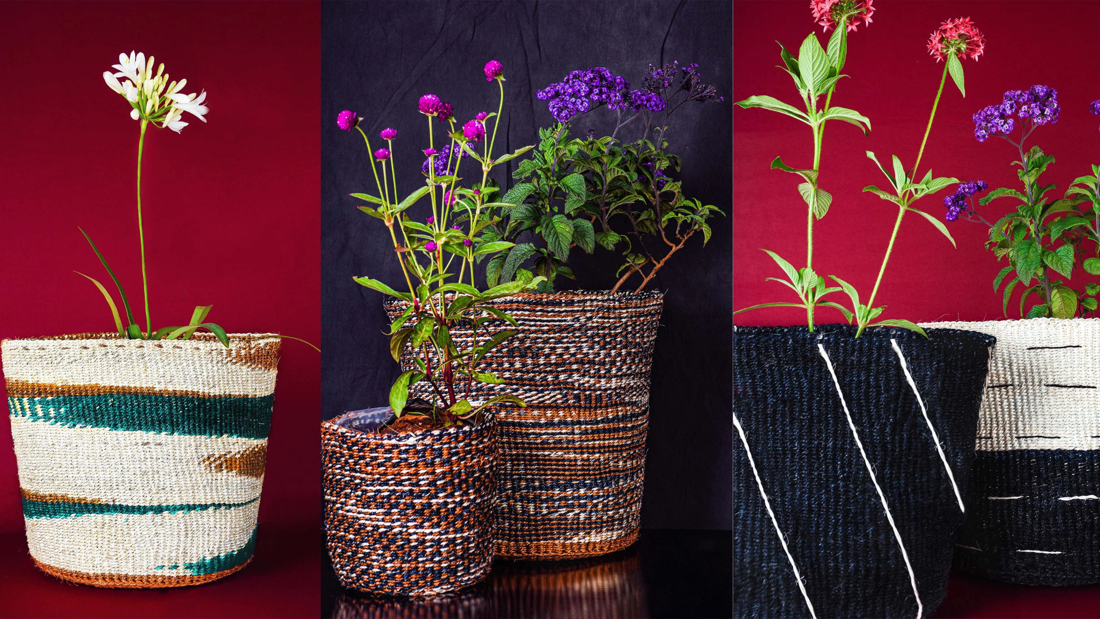 Choosing Planter Styles: Match Your Plants with Perfect Containers