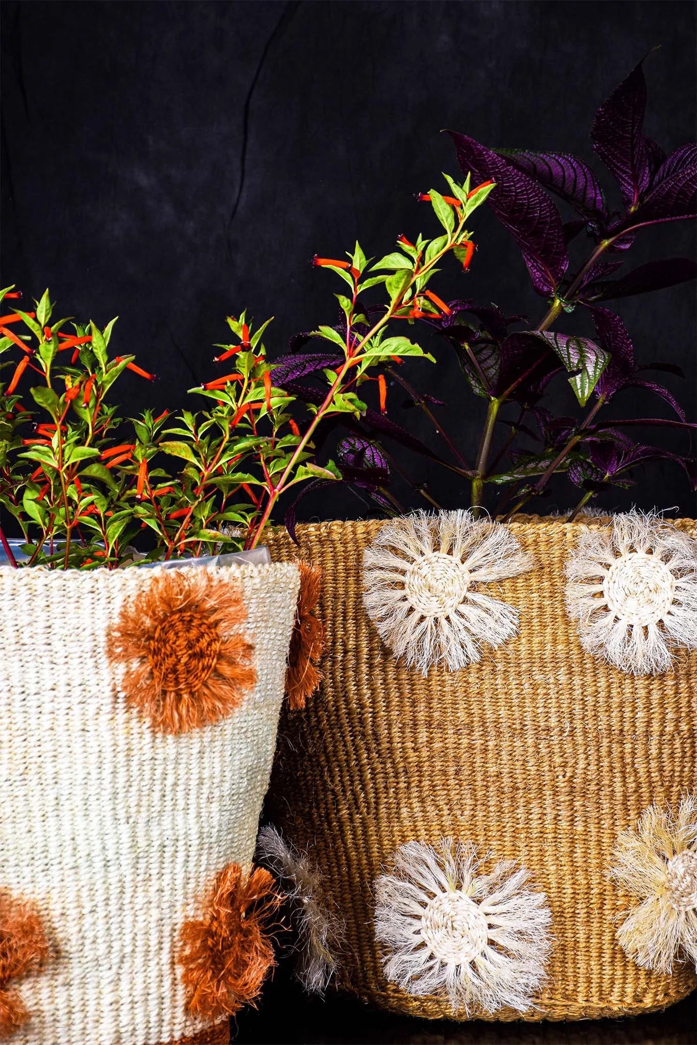 Planter-Baskets Afrogaze