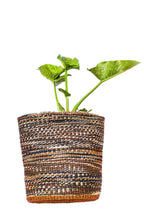 Woven plant pot with a green plant on a white background