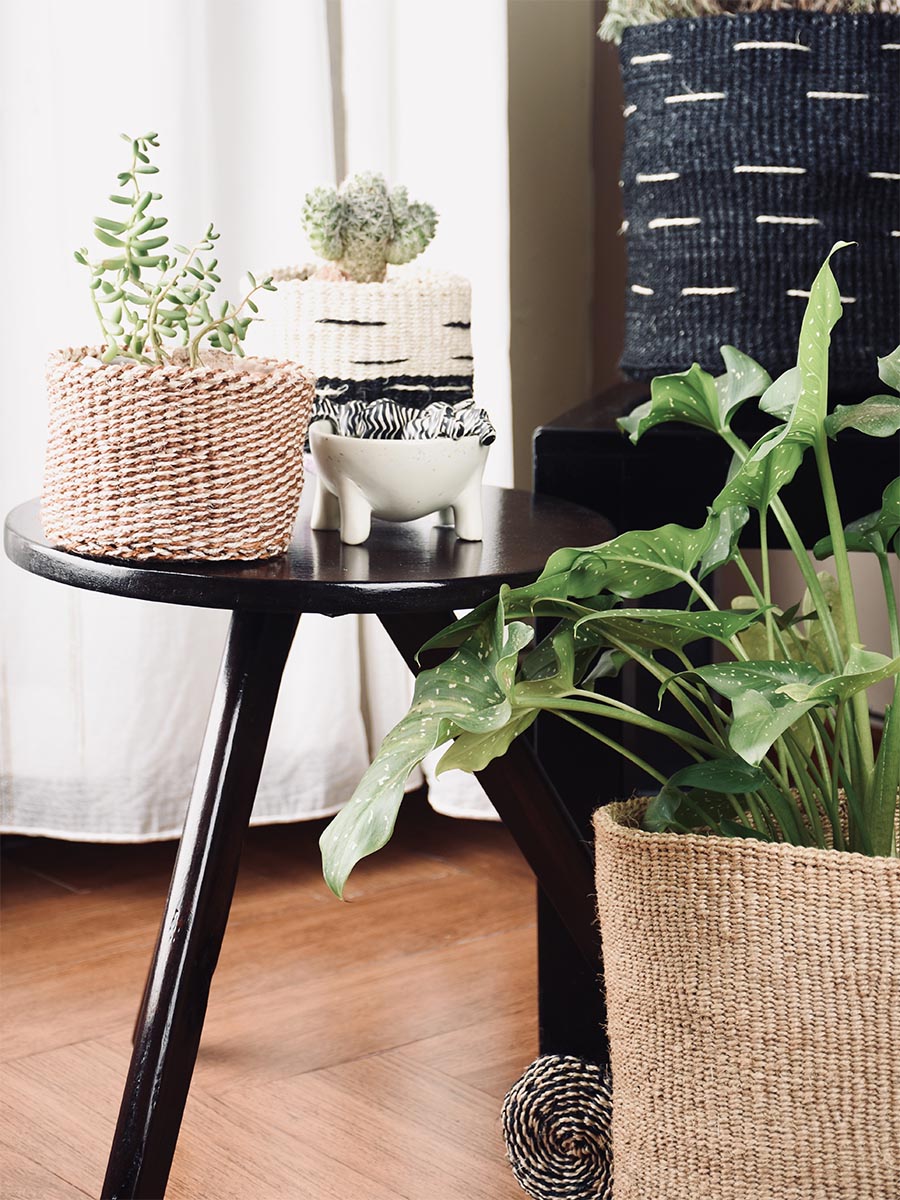 Black side table with decorative items and plants in a room setting