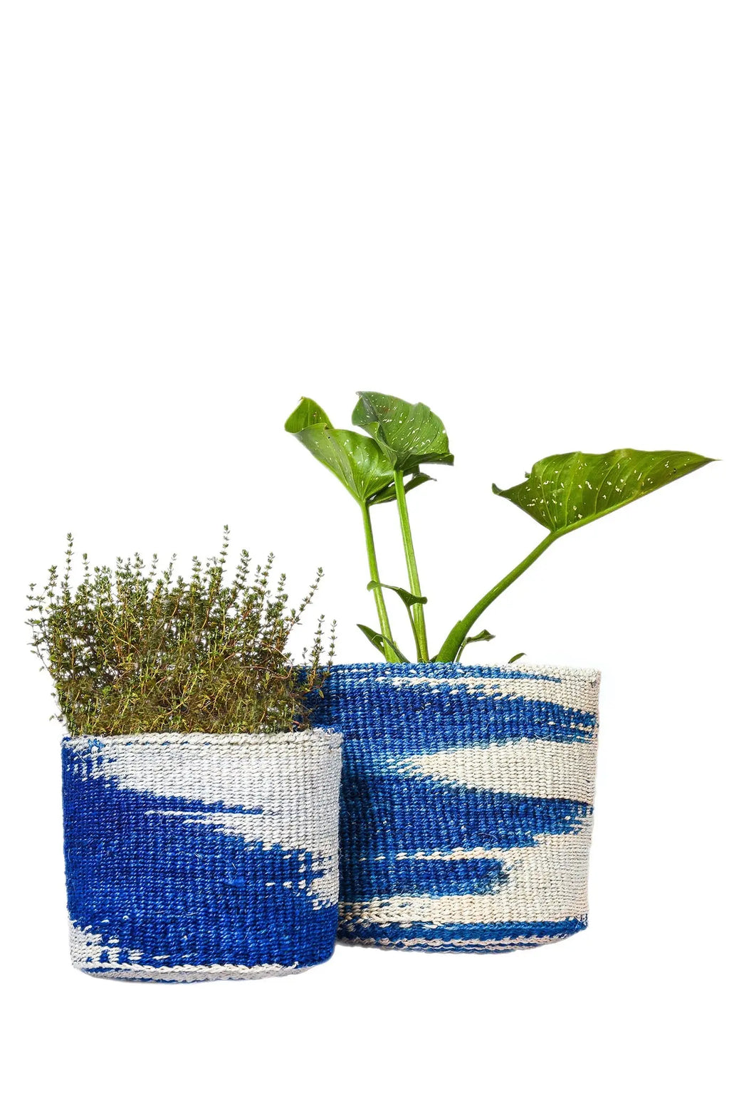 Cobalt Tone Basket Planter - Afrogaze