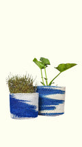 Two blue and white patterned planters with plants on a white background