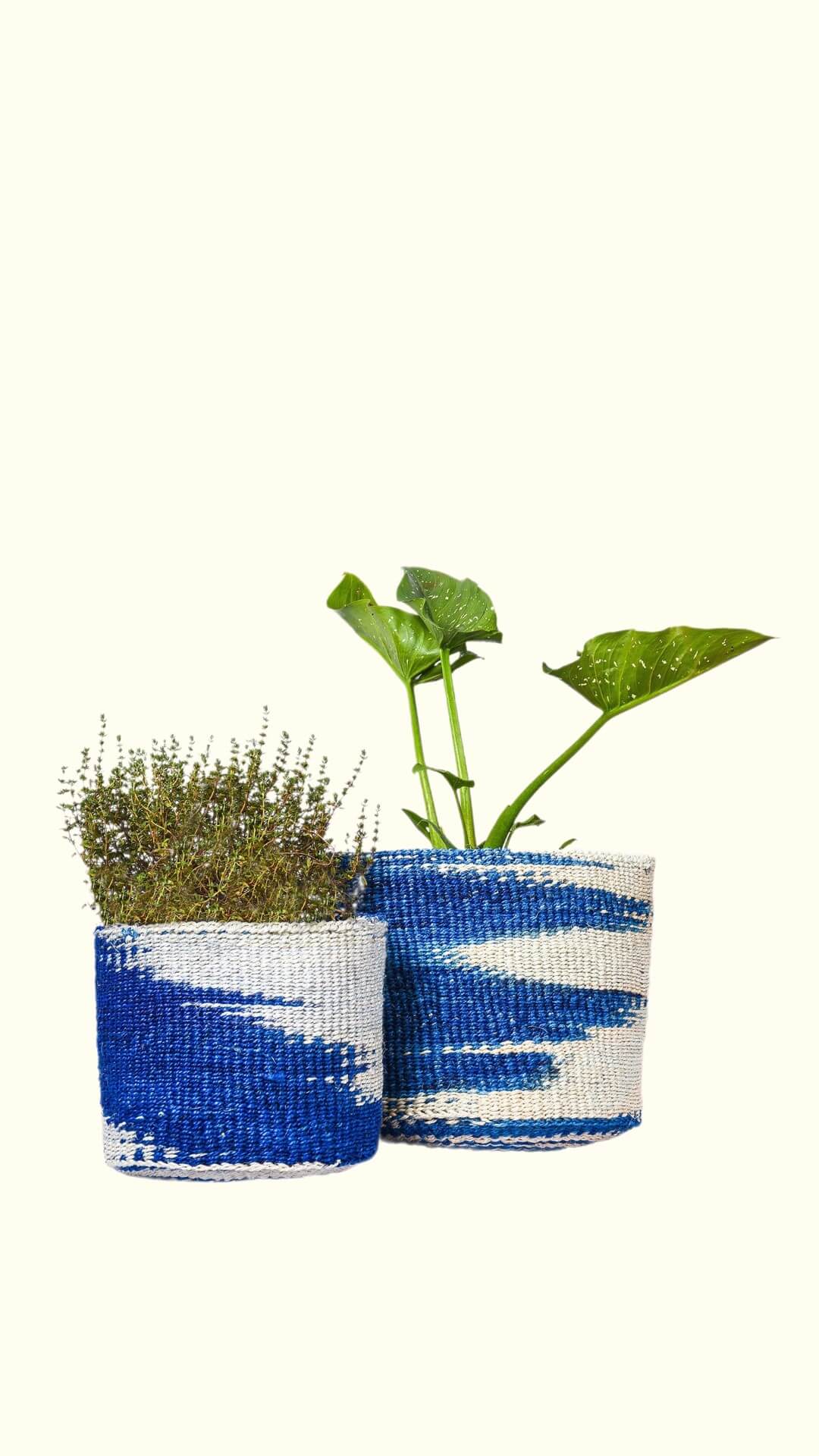 Two blue and white patterned planters with plants on a white background