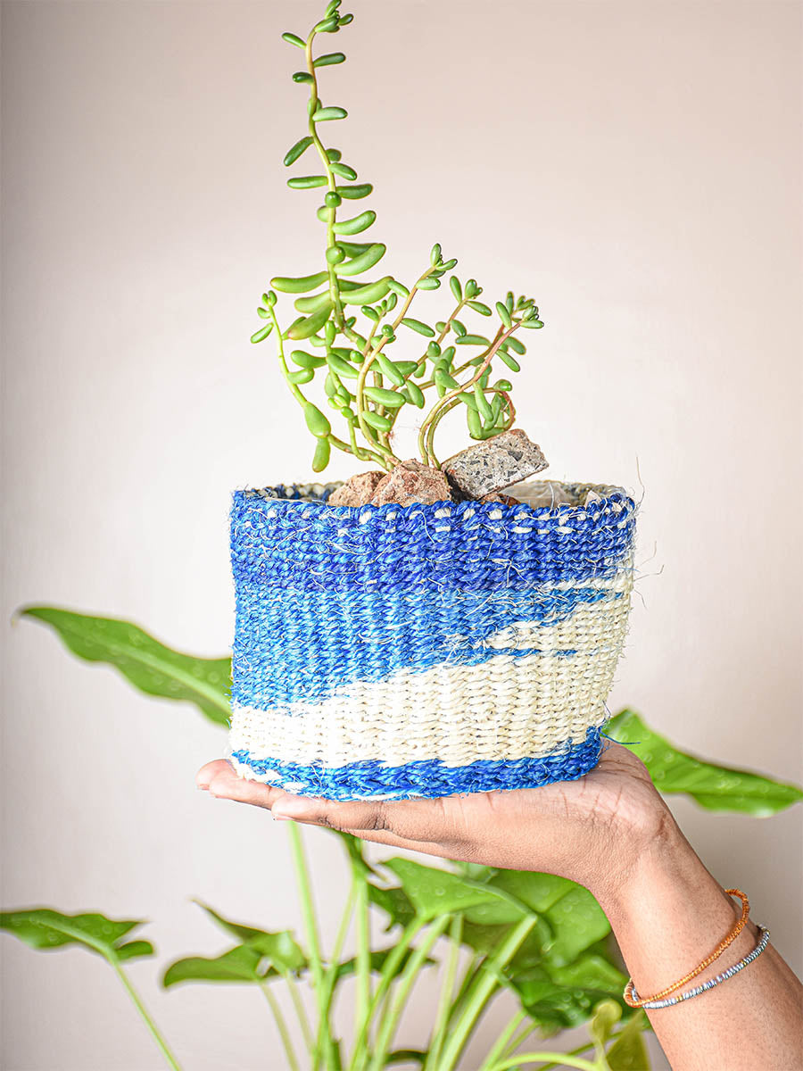 Hand holding a plant in a blue and white woven pot against a neutral background