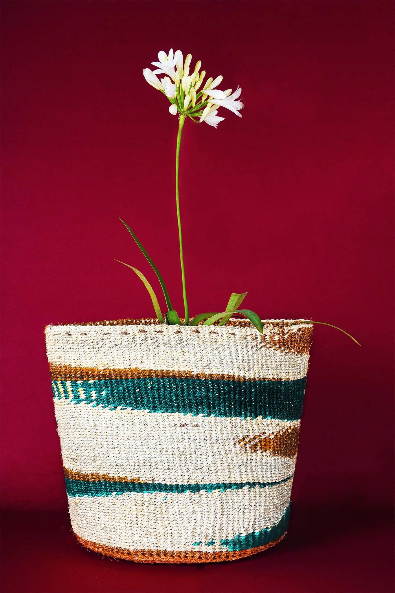 Woven basket with striped pattern containing a single white flower on a red background