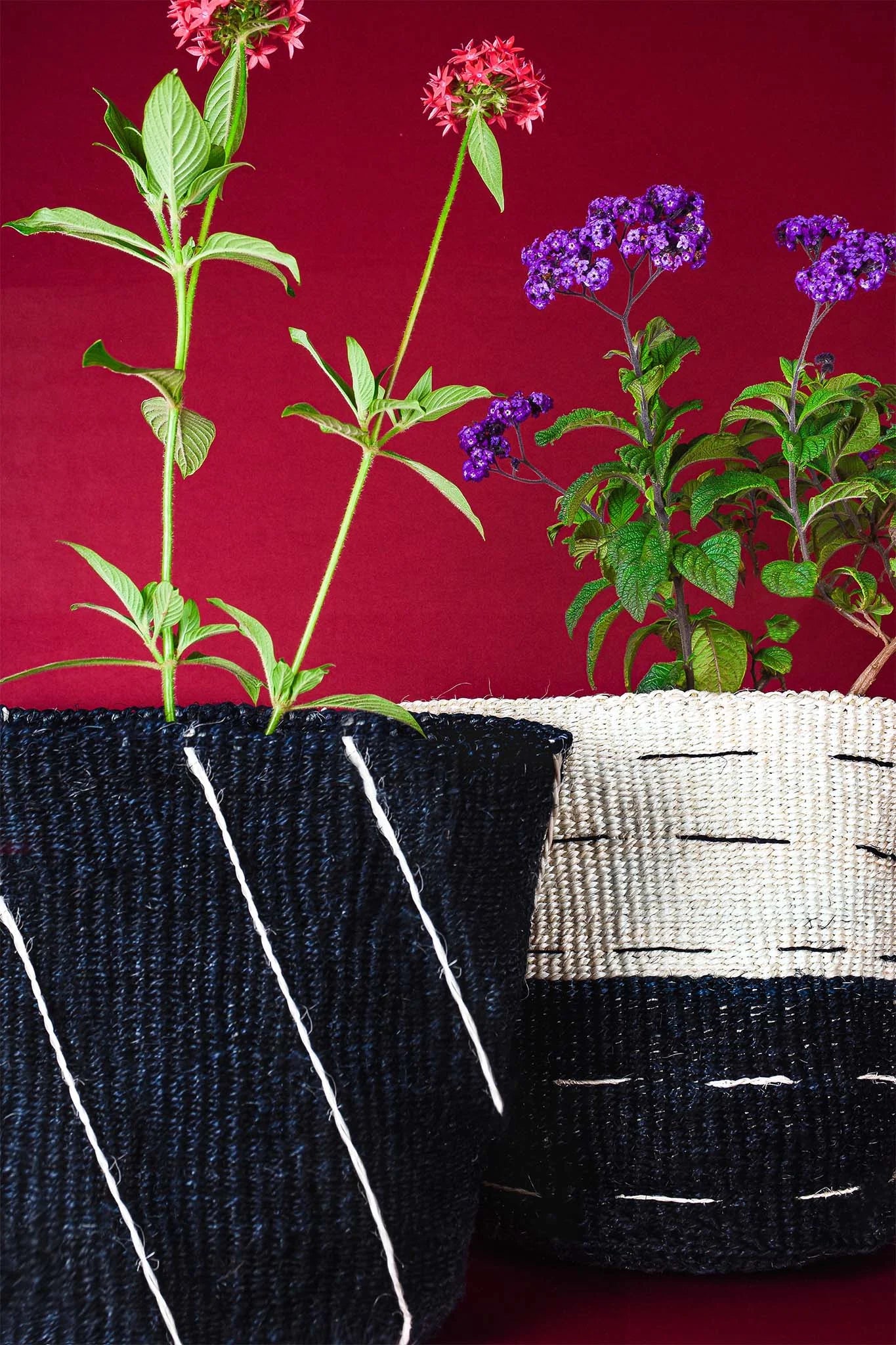 Two woven planters with plants against a red background