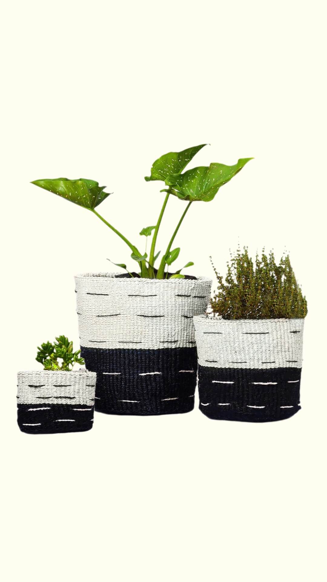 black woven plant basket Dual-Tone Handwoven Sisal Planter Basket - Kenyan Artisan Decor