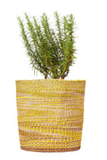 Mustard and Sand Textured Basket Planter - Afrogaze