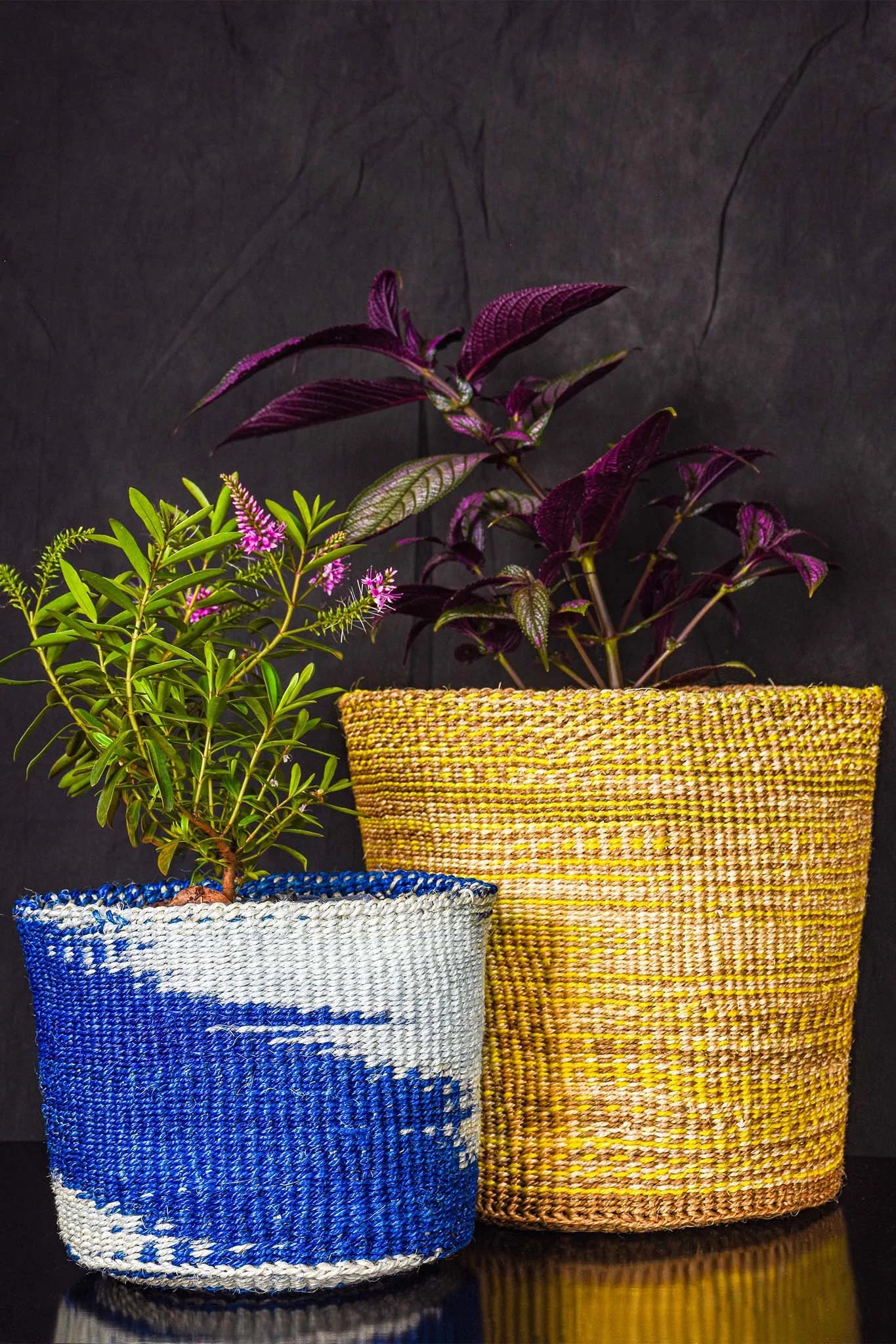 Two woven planters, one blue and white, the other yellow, with plants inside on a dark background.