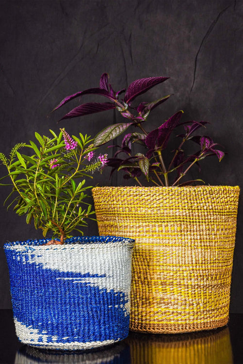 Two woven planters, one blue and white, the other yellow, with plants inside on a dark background.