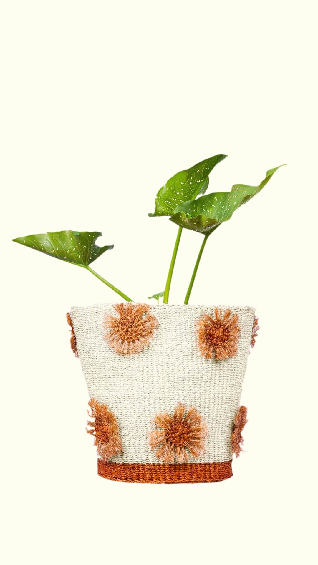 Decorative plant pot with floral pattern on a white background