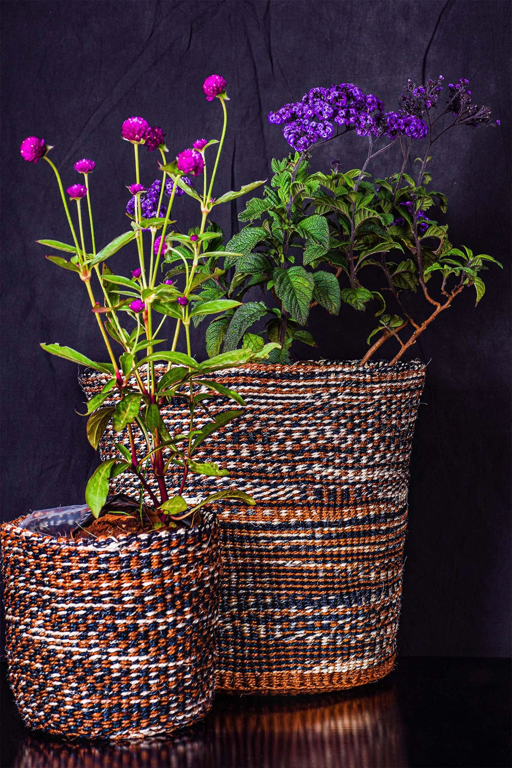 Three woven planters with plants against a dark background